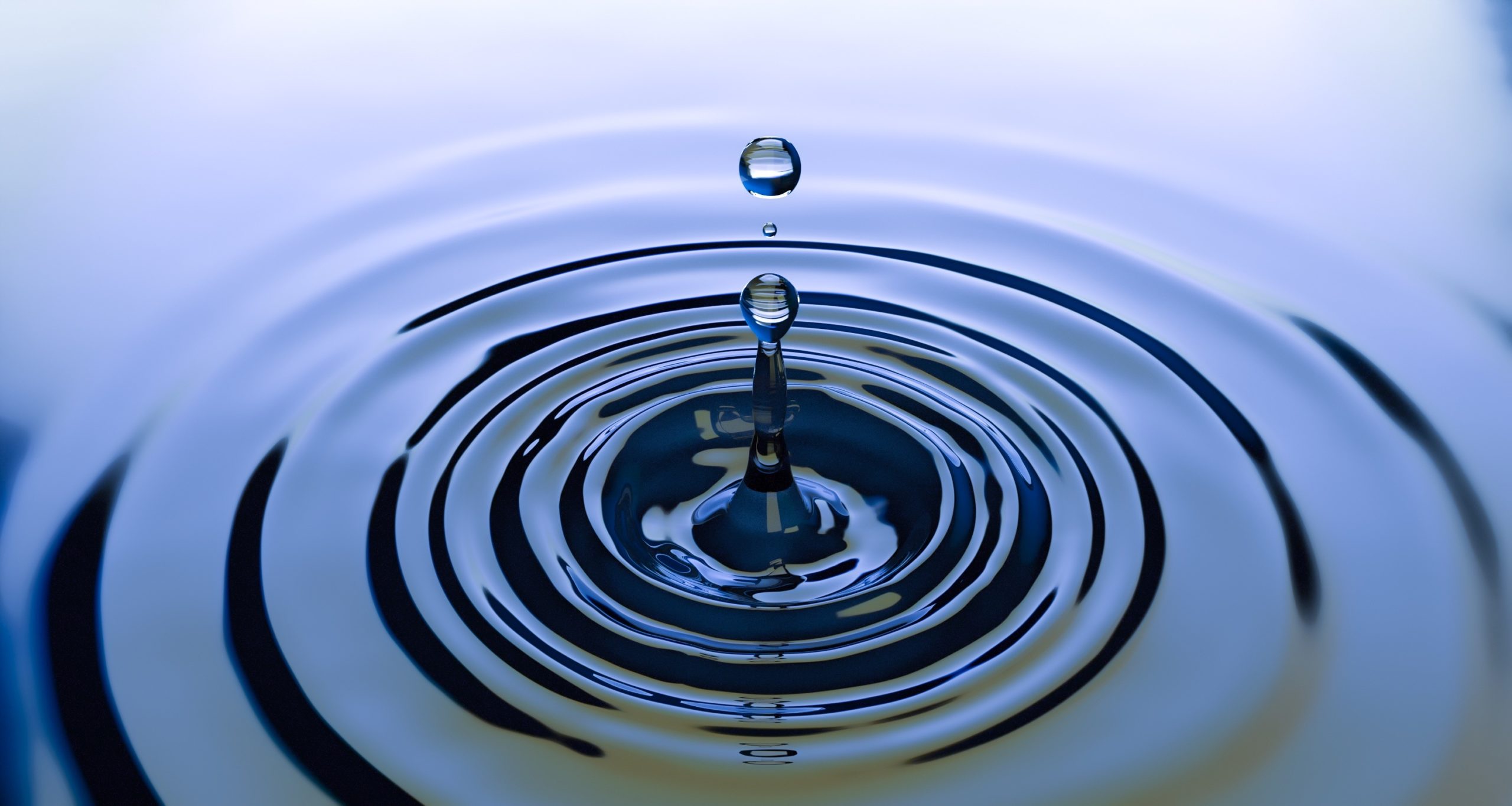 Collectivités et entreprises : comment préserver l’eau ?